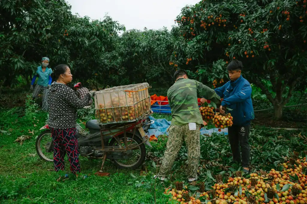 零售商户收银系统光盘与团购核销软件的技术选型要点解析